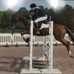 Morgan Stevenson (Dot)🇬🇧 - @mkseventing - Instagram