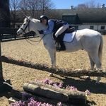 Morgan Tang - @bunnycallie - Instagram