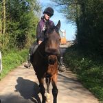 Morgan  Tanner💖🏇💙🌎 - @morgan_tanner_98 - Instagram