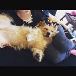 Wigglebuttjustice - @morgantolbert121 - Instagram