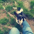 Morgan Treadwell - Facebook