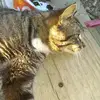 morgantucker010700 - @morgantucker0107071 - TikTok