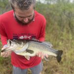 tyson morgan - @tyson_morgan3 - Instagram