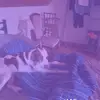 océane - @morganeviltet - TikTok