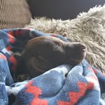 Morgan Wardell - Facebook