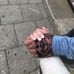 Morgan Webster - Facebook