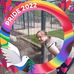 Morgan Webster - Facebook