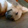 weeks.morgan - @weeks.morgan - TikTok