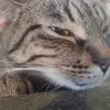 Morgan256 - @morganwheatley2 - TikTok
