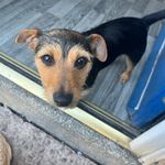Morgan Whittaker - @morganjnwhittaker7 - Instagram