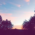 Morgan - @__morgan.wilt__ - Instagram