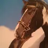 morganwinnett - @morganwinnett - TikTok