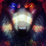 Morgan Wolf - @_sugarsnowflakes_ - Instagram