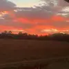 Morgan🍃 - @womack.morgan - TikTok