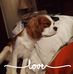 Morgan Womack-Call - Facebook