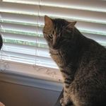 Morgan Wynn - @morgan.wynn.507 - Instagram