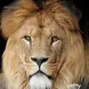 Moriah Adamson - @moriah.adamson - TikTok