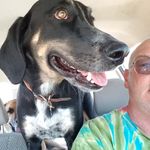 Morris Abrams - @morrisabrams - Instagram