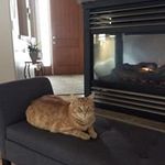 Morris Bennett - @lorieb4 - Instagram