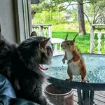 Morris Bennett - @morrisbennett1 - Instagram