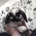 Morris E Benson - @morrisebenson - Instagram
