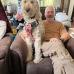 Morris Bernstein - Facebook