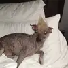 blairmorris8 - @blairmorris8 - TikTok
