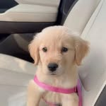 butler morris - @butler_morris12 - Instagram