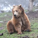 Morris Butler - @morris.butler731 - Instagram