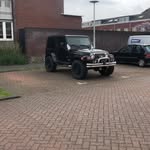 Morris - @morriscarrspotten - Instagram