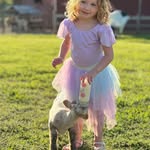 Lisa Morris Cobb - @lccobb71 - Instagram