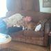 Morris Collier - Facebook