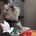 Morris Collier - Facebook