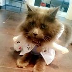 Morris Collins - @dr_mozdog69 - Instagram