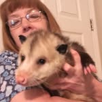 Carol Combs-Morris - @carolcombsmorris - Instagram