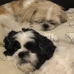 Carol Morris Cross - @carol.cross.52 - Instagram