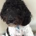 Morris Dunn - Facebook