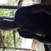 Morris Dunn - Facebook