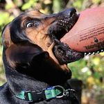 Morris Edwards - @morris_edwards_007 - Instagram