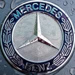 Morris - @morrisgeerken - Instagram