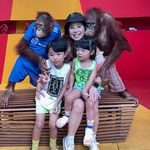 MorrisHaleyChan - @morrishaleychan - Instagram