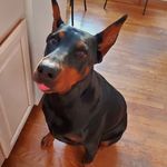 Marsha Morris Hart - @mcmrn2003 - Instagram
