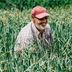 Morris Holmes - Facebook