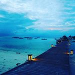 maxwell morris - @morris.maxwell - Instagram