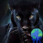 Maxwell Morris - @maxwell.morris.733 - Instagram