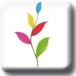 Morris May - @getmeplants - Instagram