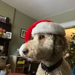 Emmett mclean-morris - @emmettmcleanmorris - Instagram