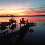 Morris Murphy - @morris.murphy.391 - Instagram
