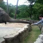 Murphy Morris - @murphyyyymorris - Instagram