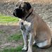Murphy Morris - Facebook